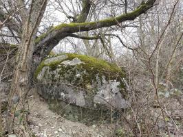 Ligne Maginot - ECLUSE D'HIRTZFELDEN CENTRE - (Blockhaus pour arme infanterie) - La coupole mobile