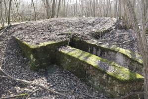 Ligne Maginot - FORET DE WIDENSOLEN CARREFOUR 192 1 - (Abri) - Abri à une salle, 2 entrées. 