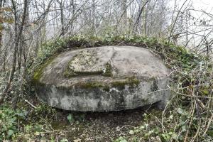 Ligne Maginot - OBERWALD EST 3 - (Blockhaus pour arme infanterie) - Coupole 7e RM