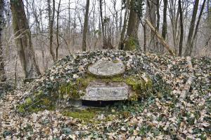 Ligne Maginot - PAVILLON DE CHASSE 1 - (Blockhaus pour arme infanterie) -   La Coupole avec le créneau, le blason et le cartouche