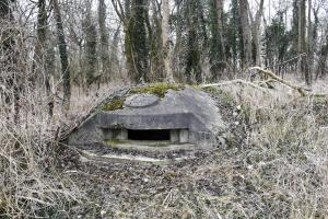 Ligne Maginot - PAVILLON DE CHASSE 2 - (Blockhaus pour arme infanterie) - La coupole avec le blason et le cartouche