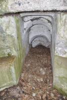 Ligne Maginot - SAINT HUBERT 1 - (Blockhaus pour arme infanterie) - L'accès à la coupole