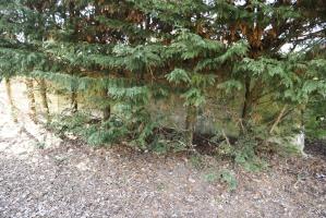 Ligne Maginot - WIDENSOLEN 3 - (Abri) - Abri aux entrées bouchées
L’environnement le fait disparaitre peu à peu