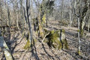 Ligne Maginot - ECLUSE 46 OUEST - (Blockhaus pour arme infanterie) - 