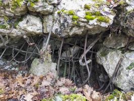 Ligne Maginot - ECLUSE 49 NORD - (Blockhaus pour arme infanterie) - 