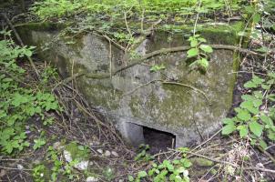 Ligne Maginot - STEINHUBEL NORD 3 - (Abri) - Entrée nord