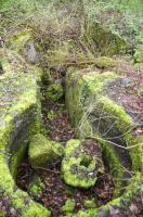 Ligne Maginot - GRUNHUTTE 3 - (Cuve pour arme d'infanterie) - Cuve pour TD protégeant la route forestière Grunhütte-Blodelsheim