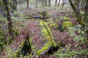 Ligne Maginot - GRUNHUTTE 5 - (Cuve pour arme d'infanterie) - Entrée sud, (vers l'arbre mort). Entrée nord (à droite de l'arbre à 2 troncs).
