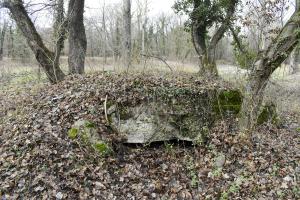 Ligne Maginot - PA DE HOMBOURG 5 - (Blockhaus de type indéterminé) - Vu sur le créneau