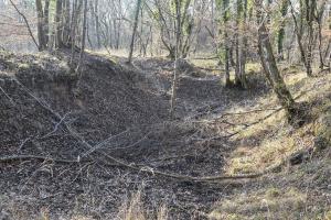 Ligne Maginot - JULIETTE - (Position d'artillerie préparée) - Vue la taille ce pouvait être un des emplacements de 220 C-16.