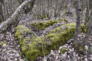 Ligne Maginot - PA DE BANTZENHEIM SUD 1 - (Cuve pour arme d'infanterie) - Vestiges ressemblant au plafond du couloir.