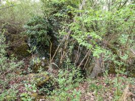 Ligne Maginot - PA DE BANTZENHEIM SUD 2 - (Cuve pour arme d'infanterie) - Emplacement pour tourelle démontable
L'ensemble est très altéré et pris sous la végétation.