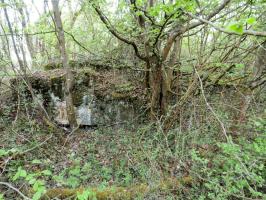 Ligne Maginot - PA DE BANTZENHEIM SUD 2 - (Cuve pour arme d'infanterie) - Vue depuis le nord