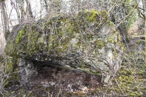 Ligne Maginot - WAELDELEZUG NORD - 2 - (Blockhaus de type indeterminé) - 