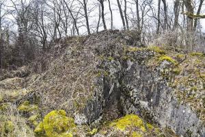 Ligne Maginot - WAELDELEZUG NORD - (Blockhaus de type indéterminé) - 