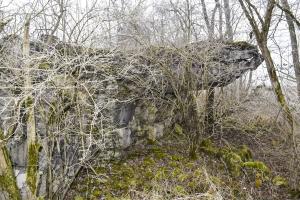Ligne Maginot - WAELDELEZUG NORD - (Blockhaus de type indéterminé) - 