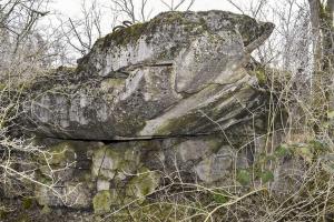 Ligne Maginot - WAELDELEZUG NORD - (Blockhaus de type indéterminé) - 