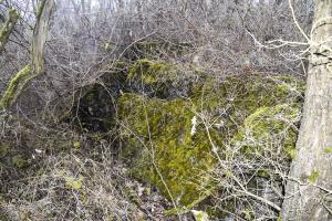 Ligne Maginot - WAELDELEZUG NORD - (Blockhaus de type indéterminé) - Petit abri ce trouvant à une vingtaine de mètres au sud-est du gros abri. Il fait partie de l'ensemble.