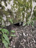 Ligne Maginot - B580 - KEMBS LOECHLE 2 - (Blockhaus pour arme infanterie) - Vue du côté ouest, créneau quasiment enseveli. 