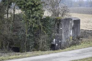 Ligne Maginot - BRIGGMATTEN EST - (Blockhaus pour canon) - Coté nord avec les entrées