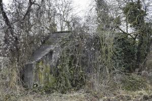 Ligne Maginot - BRIGGMATTEN EST - (Blockhaus pour canon) - Coté est