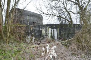 Ligne Maginot - BRIGGMATTEN SUD - (Blockhaus pour canon) - Vue d'ensemble coté entrée des hommes et du matériel