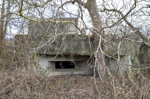 Ligne Maginot - BRIGGMATTEN SUD - (Blockhaus pour canon) - Vue coté ouest sur le créneau du canon antichar 25, avec au fond l'étage