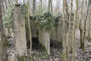 Ligne Maginot - CANAL DE HUNINGUE EST - (Casernement) - Latrines