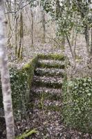 Ligne Maginot - CANAL DE HUNINGUE EST - (Casernement) - Bâtiment 4
Sous-sol - escalier vers l’extérieur. 
