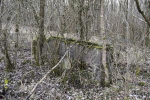 Ligne Maginot - CANAL DE HUNINGUE EST - (Casernement) - Lavoir 8
Petit lavabo sans rebord (3 m)