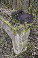 Ligne Maginot - CANAL DE HUNINGUE EST - (Casernement) - Lavoir 8
Grand lavabo avec rebord (10 m)