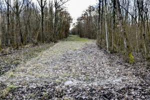 Ligne Maginot - CANAL DE HUNINGUE EST - (Casernement) - Emplacement 11
Dalle