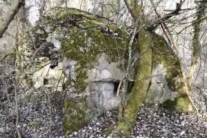 Ligne Maginot - G53 - PETIT-LANDAU BERGE 1 - (Blockhaus pour arme infanterie) - Façade sud