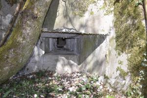 Ligne Maginot - G53 - PETIT-LANDAU BERGE 1 - (Blockhaus pour arme infanterie) - Creneau sud