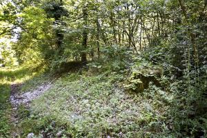 Ligne Maginot - G61 - BRIGGMATTEN BERGE NORD - (Blockhaus pour arme infanterie) - Reste du blockhaus sur le chemin