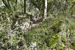 Ligne Maginot - G61 - BRIGGMATTEN BERGE NORD - (Blockhaus pour arme infanterie) - Ruine de l'abris à droite (sud) du blockhaus