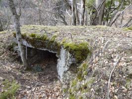 Ligne Maginot - ROURE - CHAPELLE STE ANNE 1 - (Blockhaus pour canon) - 