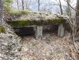 Ligne Maginot - ROURE - CHAPELLE STE ANNE 1 - (Blockhaus pour canon) - 