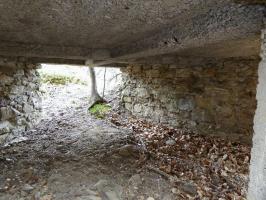 Ligne Maginot - ROURE - CHAPELLE STE ANNE 1 - (Blockhaus pour canon) - 