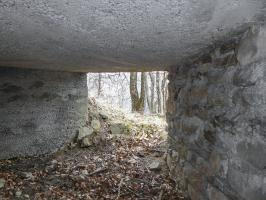 Ligne Maginot - ROURE - CHAPELLE STE ANNE 2 - (Blockhaus pour canon) - 