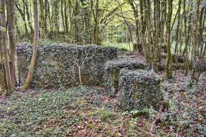 Ligne Maginot - KEMBS - (Camp de sureté) - Vestiges d'une construction aux murs épais.