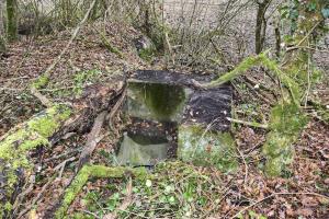 Ligne Maginot - LANGE AECKER 1 - (Blockhaus pour arme infanterie) - L'entrée sud en puits