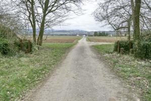 Ligne Maginot - NIFFER NORD - (Barrage de Route) - Le dispositif du barrage. 