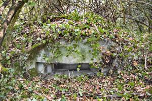 Ligne Maginot - PA KEMBS CENTRE 2 - (Blockhaus pour arme infanterie) - La coupole.