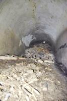 Ligne Maginot - PA PETIT-LANDAU 8 - (Blockhaus pour arme infanterie) - Couloir vers l'entrée