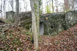 Ligne Maginot - 7 - (Central téléphonique isolé) - La façade arrière du central