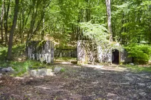 Ligne Maginot - BREITENHAG (BATTERIE DE) - (Position d'artillerie préparée) - Cuve Ouest
Vue d'ensemble de l'encuvement ouest, avec ses niches et abri à munitions