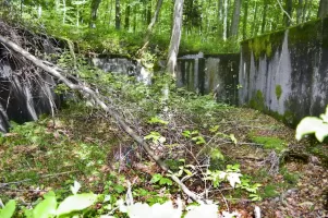 Ligne Maginot - BREITENHAG (BATTERIE DE) - (Position d'artillerie préparée) - Cuve Est
Emplacement du canon de 240. Un bon nettoyage s'imposerait.