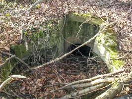 Ligne Maginot - CESARHOF 3 - (Cuve pour arme d'infanterie) - La tourelle se trouvait à cet endroit, au fond la galerie d'accès souterraine