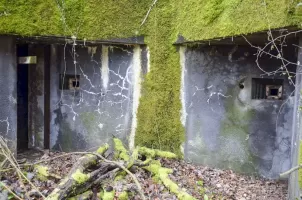 Ligne Maginot - EICHWALD (BATTERIE DE L') - (Position d'artillerie préparée) - PC batterie 1 et 2
Les deux entrées avec leurs créneaux de tir